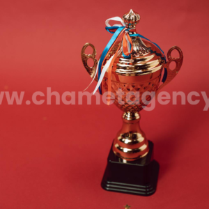 Achievements Chamet Agents Should Try to Achieve